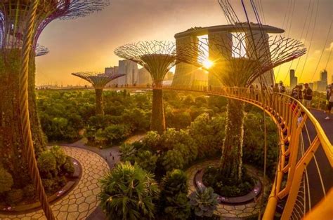 city of the future singapore reflection|'City of the Future: Singapore' .